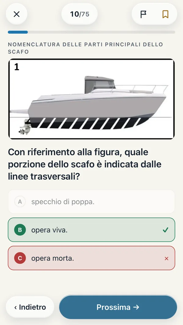 Rotta: an exam question with the official figure and the correct answer